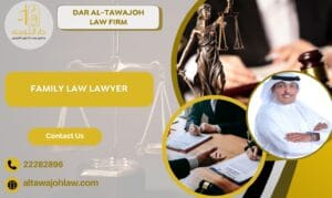 Family Law Lawyer